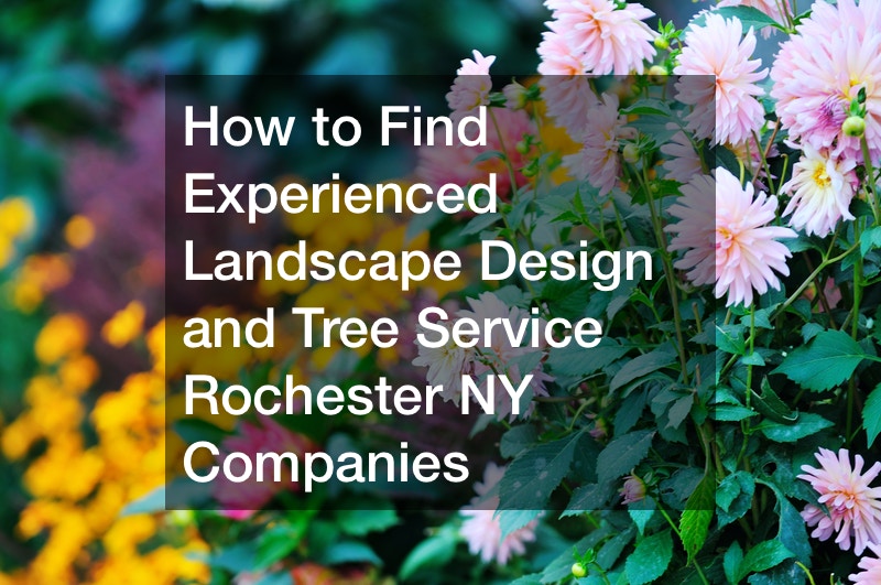 How to Find Experienced Landscape Design and Tree Service Rochester NY Companies