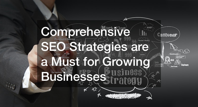 Comprehensive SEO Strategies are a Must for Growing Businesses